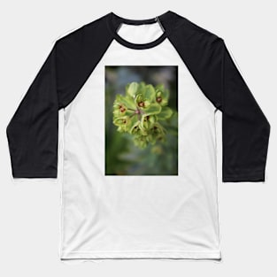 Extra green euphorbia Baseball T-Shirt